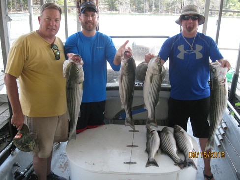 Nice Striped Bass